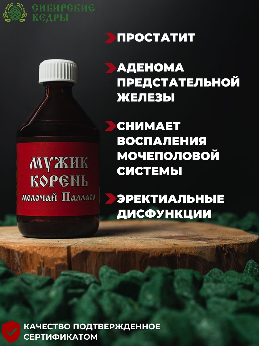 Мужик Корень - Сибирские кедры